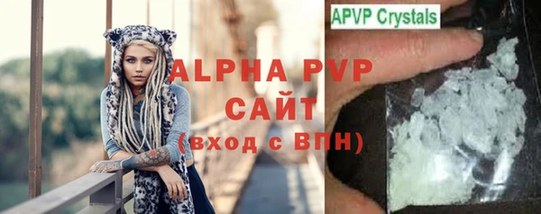 индика Абаза