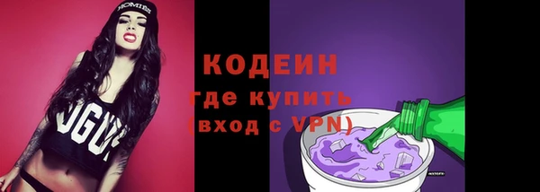 индика Абаза