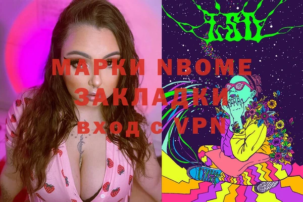 индика Абаза