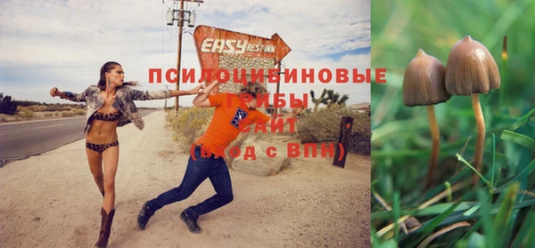 соль курить ск Абинск