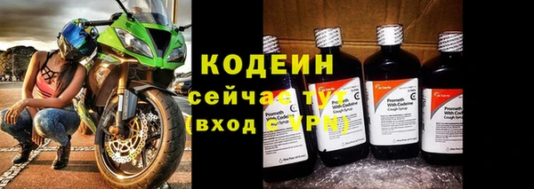 индика Абаза