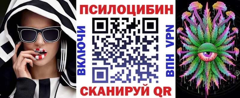где продают   Новомичуринск  Псилоцибиновые грибы MAGIC MUSHROOMS 